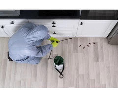 Best Pest Control Services in Maryborough-Prudent Pest Control