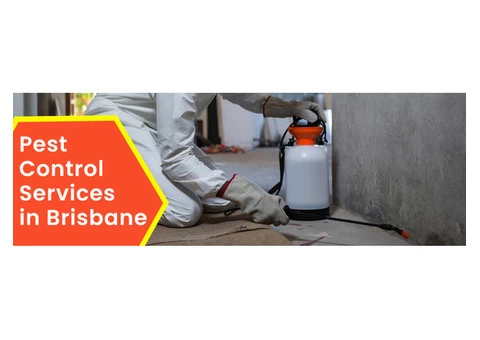 Professoinal Pest Control Launceston
