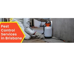Professoinal Pest Control Launceston