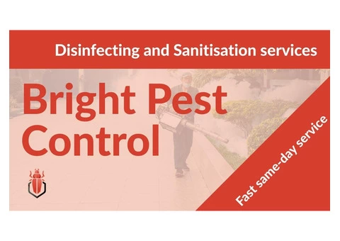 Get Expert For Pest Control Hobart | Bright Pest Control