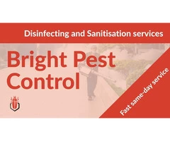 Get Expert For Pest Control Hobart | Bright Pest Control