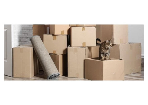 Office Removals Adelaide - 3/5