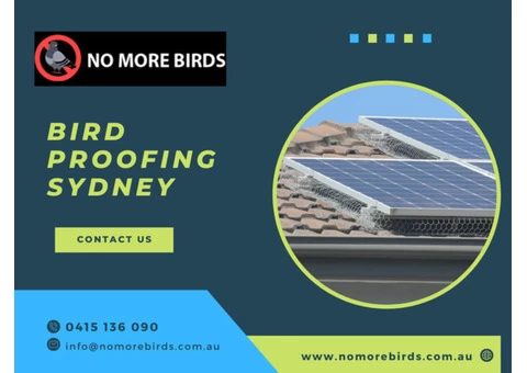 Bird Proofing Solar Panels Sydney