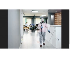 Pest Control Canberra