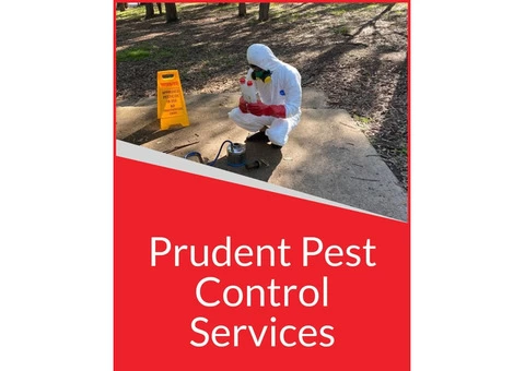 24*7 Pest Control Experts in Ferny Hills-Pudent Pest Control