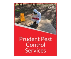 24*7 Pest Control Experts in Ferny Hills-Pudent Pest Control