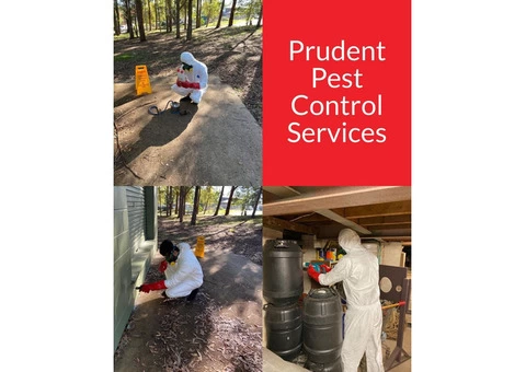 Most Effective Pest Control Services in Loganlea-Prudent Pest Control - 2/2