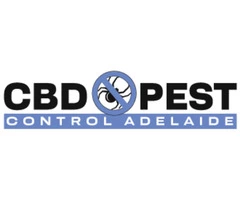 CBD Cockroach Control Adelaide