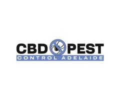 CBD Possum Removal Adelaide