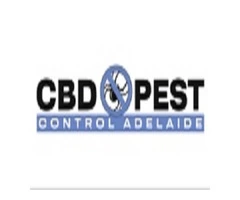 CBD Ant Control Adelaide