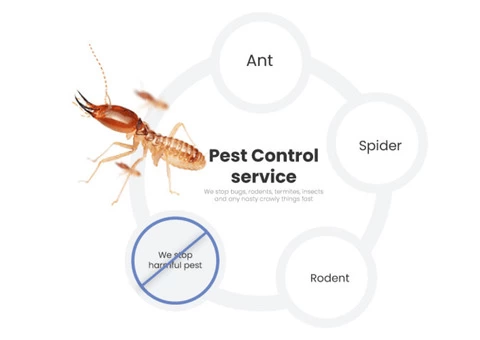 Pest Control Sydney - 1/7