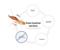 Pest Control Sydney