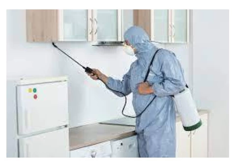 Exit Bed Bugs Control Melbourne