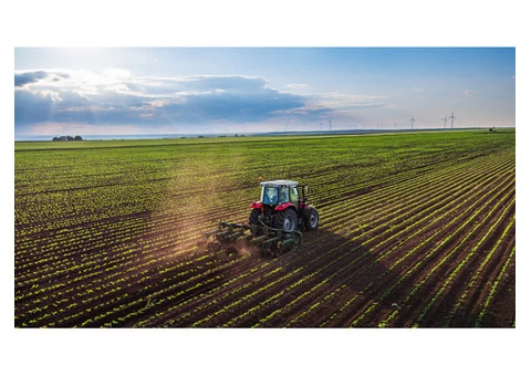 Are you seeking a seed grading service to maximise production?