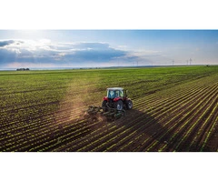 Are you seeking a seed grading service to maximise production?