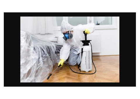 Ant Control Melbourne