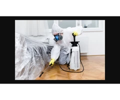 Ant Control Melbourne