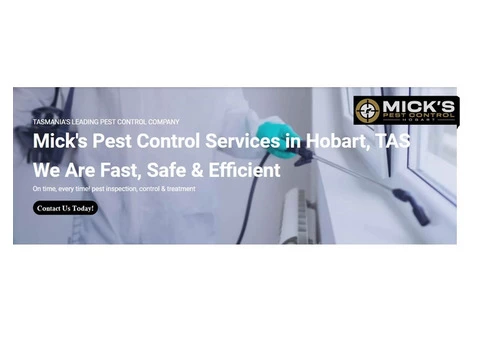 Spider Control Hobart - 4/6