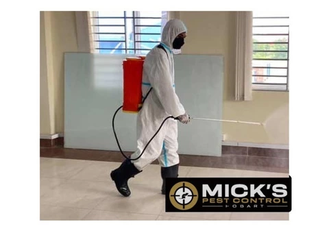 Spider Control Hobart - 6/6