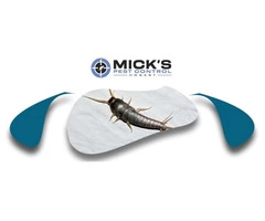 Silverfish Control Perth