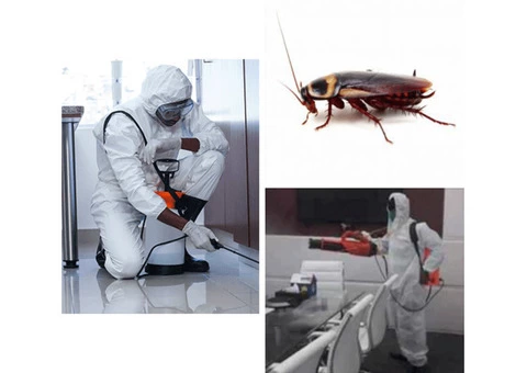 Cockroach Control Brisbane - 4/6