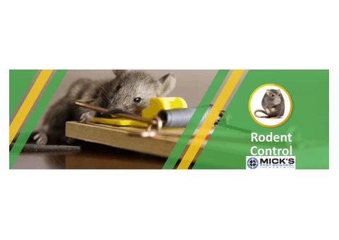 Rodent Control Perth - 4/4