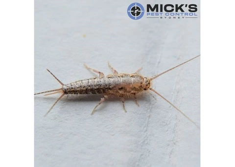 Silverfish Control Sydney - 4/4