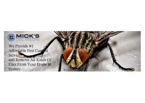 Flies Control Sydney - 7/8