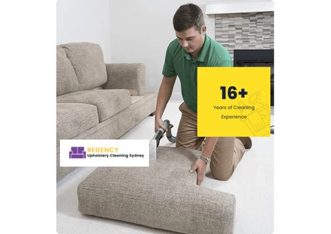 Professionals for Upholstery Cleaning Blacktown
