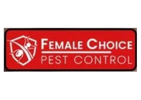 Spider Control Brisbane | Female Choice Pest Control