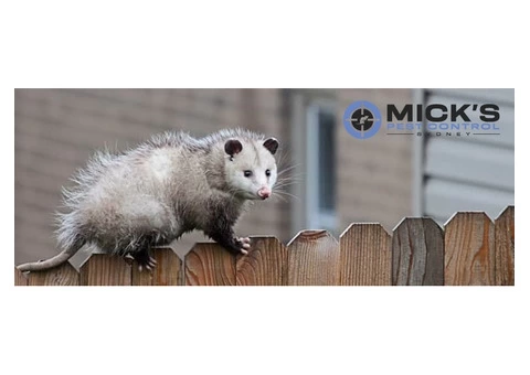 Possum Removal Sydney - 7/8