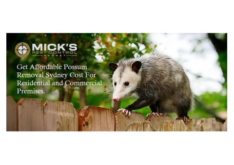 Possum Removal Sydney - 8/8