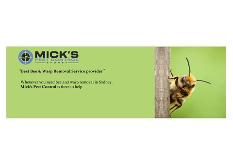 Bee And Wasp Removal Sydney - 5/6