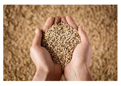 Looking for grain cleaner to clean grains from dirt & debris?