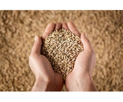 Looking for grain cleaner to clean grains from dirt & debris?