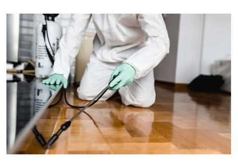 Get Professional For Pest Control Gold Coast | Bright Pest Control
