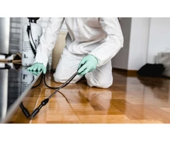 Get Professional For Pest Control Gold Coast | Bright Pest Control