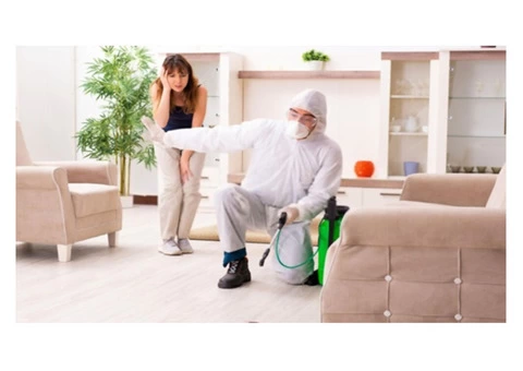 Pest Control Burnley