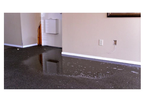 Good Job Flood Damage Restoration Sydney - 1/3