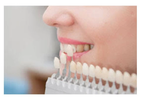 Searching For Venveer Procedure in Warriewood?