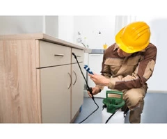 Pest Control Langley