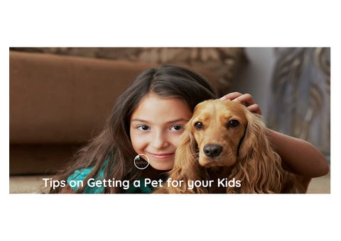 Tips on Getting a Pet for your Kids from the Best Kids Directory in Australia!