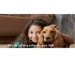 Tips on Getting a Pet for your Kids from the Best Kids Directory in Australia!