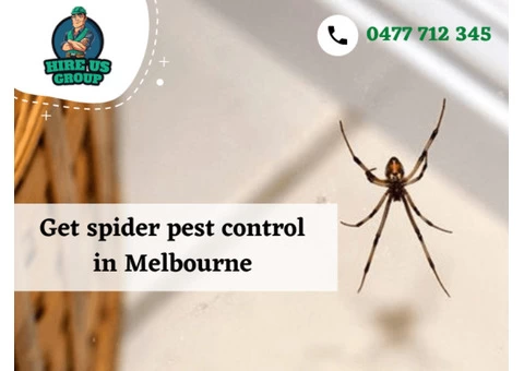 Rid Your Homes From Spider Webs With Pest Control Services in Melbourne