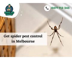 Rid Your Homes From Spider Webs With Pest Control Services in Melbourne