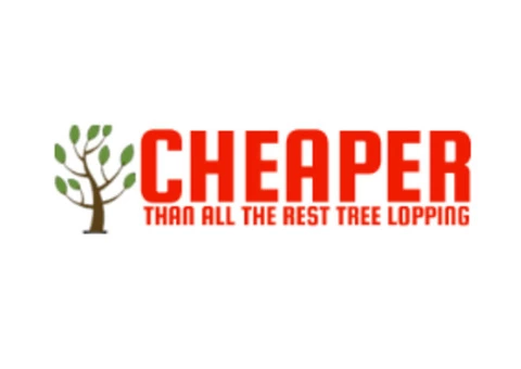 Reliable Tree Removal Services in Brisbane