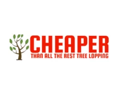 Reliable Tree Removal Services in Brisbane