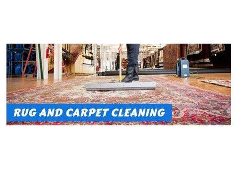 Hire Carpet Cleaning Service in Badger Creek | Squeaky Clean Rugs - 2/2
