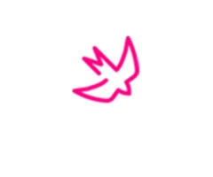 Looking for an Outdoor Wedding Celebrant Melbourne? Your search ends here!