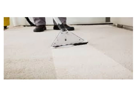 Quality Carpet Cleaning Services